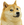 :doge: