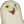 :orly: